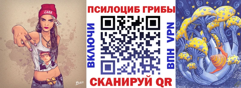 ОМГ ОМГ ссылка  Кадников  Псилоцибиновые грибы Cubensis 